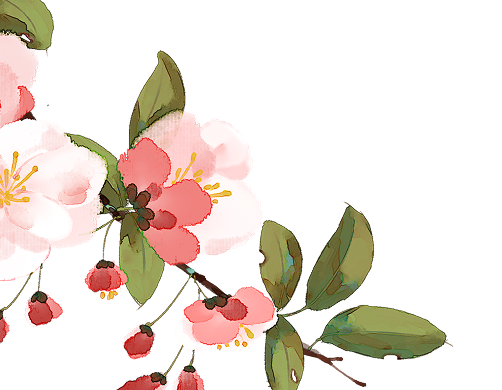 1402 flowers